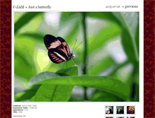 Tablet Screenshot of czam.be